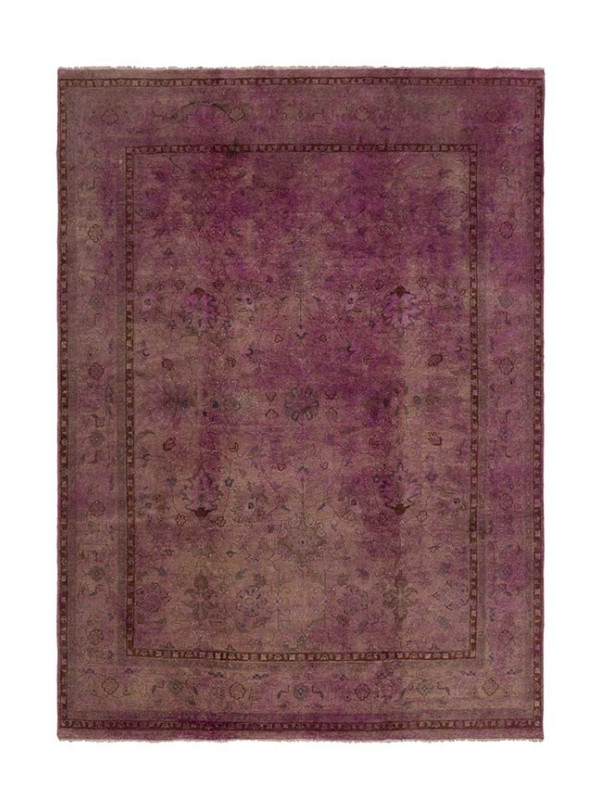 JAMMU FUCSHIA