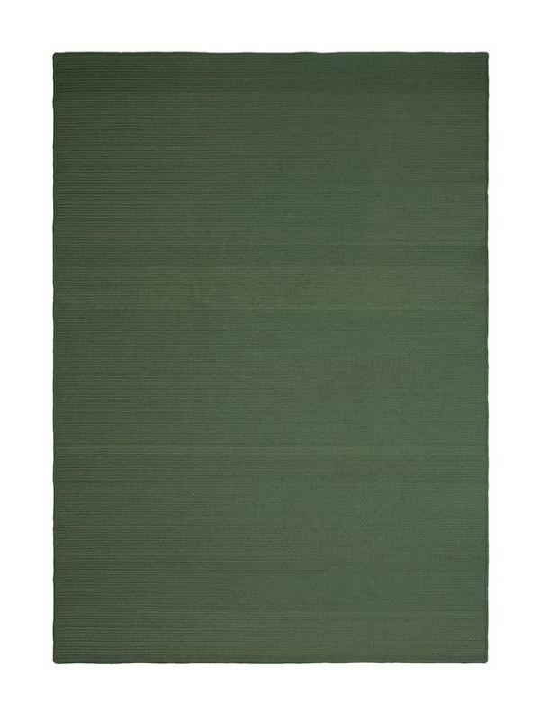 ORBIS POLI 156